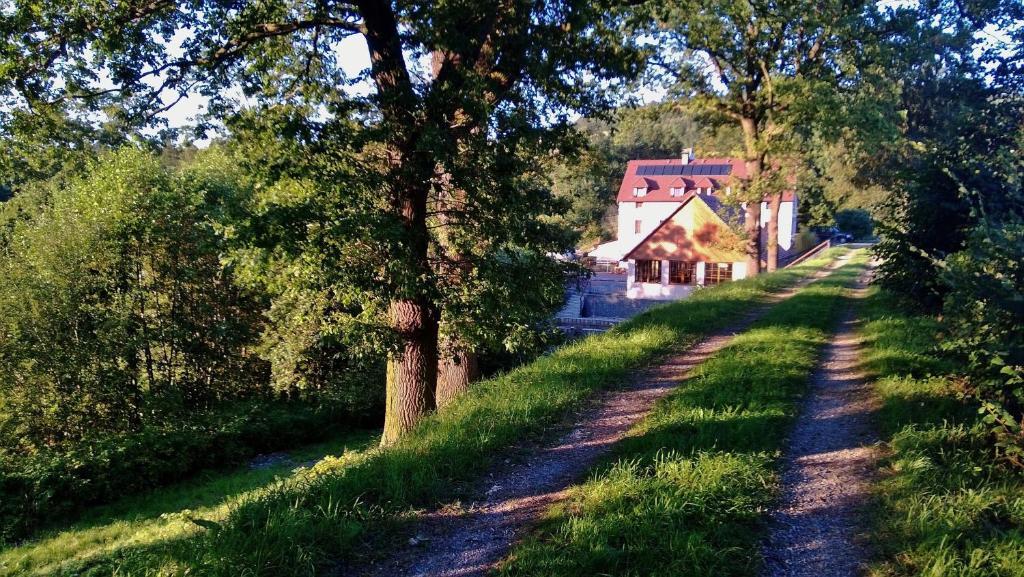 Pension Mlyn Stare Mitrovice Sedlec-Prcice Zewnętrze zdjęcie